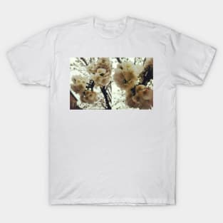 bloom T-Shirt